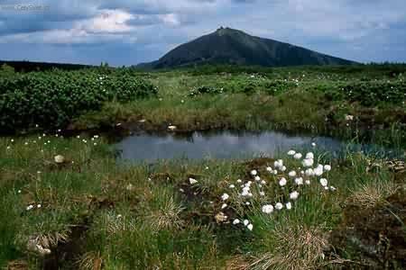 Fotky: Nejvy��� hory �R (foto, obrazky)