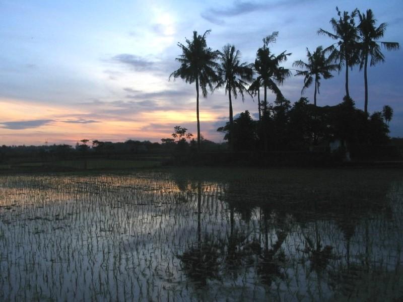 Foto: Indon�sie-Klaten