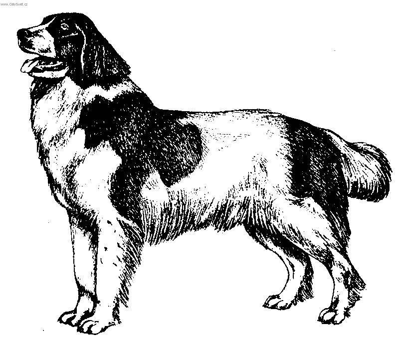Foto: Landseer-Kresba