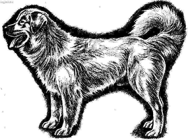 Foto: Slovensk� �uva�-Kresba