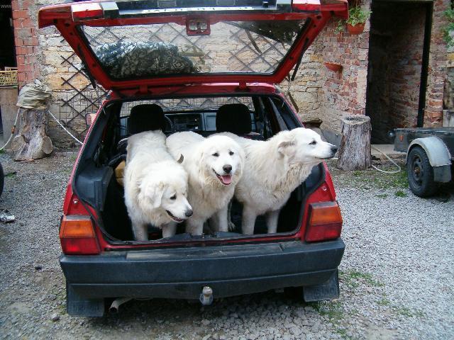 Foto: Slovensk� �uva�-moje sme�ka. Majitel: Ifka (ifka.maresova@volny.cz)