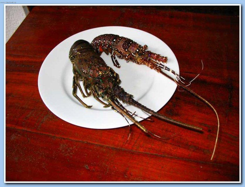 Fotky: Sr� Lanka (cestopis) (foto, obrazky)