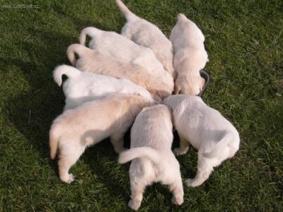 Foto: �t�n� a v�e o n�m