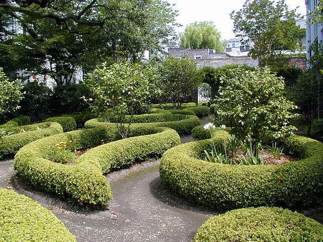 Foto: Charleston, Ji�n� Carolina