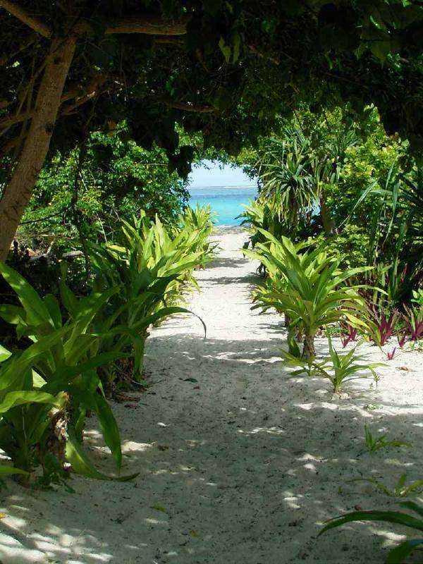Foto: Vanuatu-Mystery Island°
