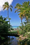 Fotky: Antigua a Barbuda (foto, obrazky)