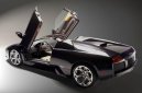 :  > Lamborghini Murcielago Roadster (Car: Lamborghini Murcielago Roadster)