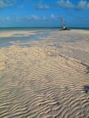 Fotky: Bahamy (foto, obrazky)