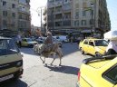 Fotky: Sýrie (foto, obrazky)