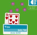 Texas holdem poker