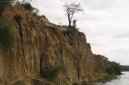 Fotky: Uganda (cestopis) (foto, obrazky)