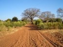 Fotky: Zambie (foto, obrazky)