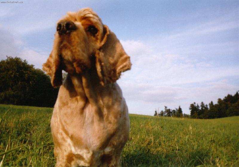 Foto: Endy�ek =o)-M�j mil��ek =o)