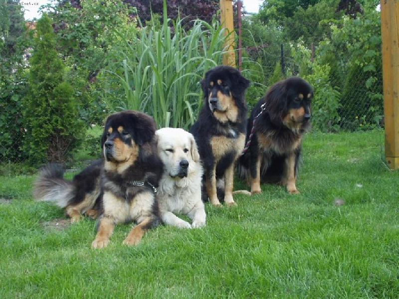 Foto: Cel� na�e sme�ka:-))