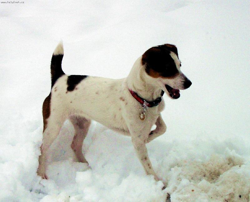 Foto: Rapl-Bl�zen do jak�koliv z�bavy, po�as� nerozhoduje, hlavn�, �e se d� ��dit.