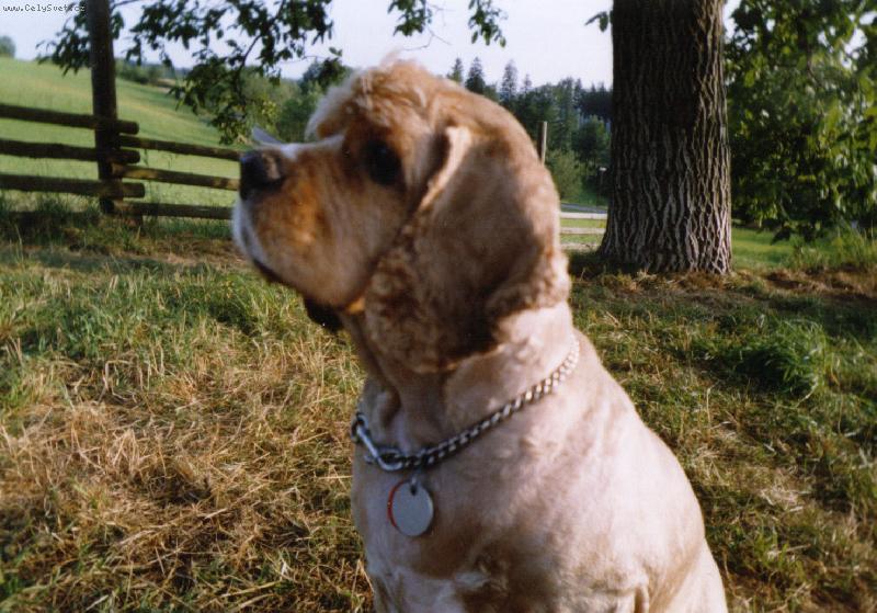 Foto: Endou�ek-V O��kov� =o)