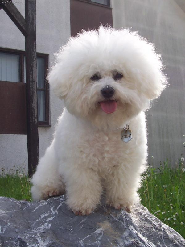 Foto: Andy z �erven�ch roklin