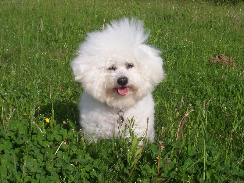 Foto: Andy z �erven�ch roklin