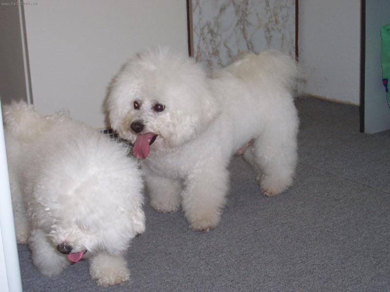 Foto: Andy z �erven�ch Roklin a Baru�ka-Den kryt�