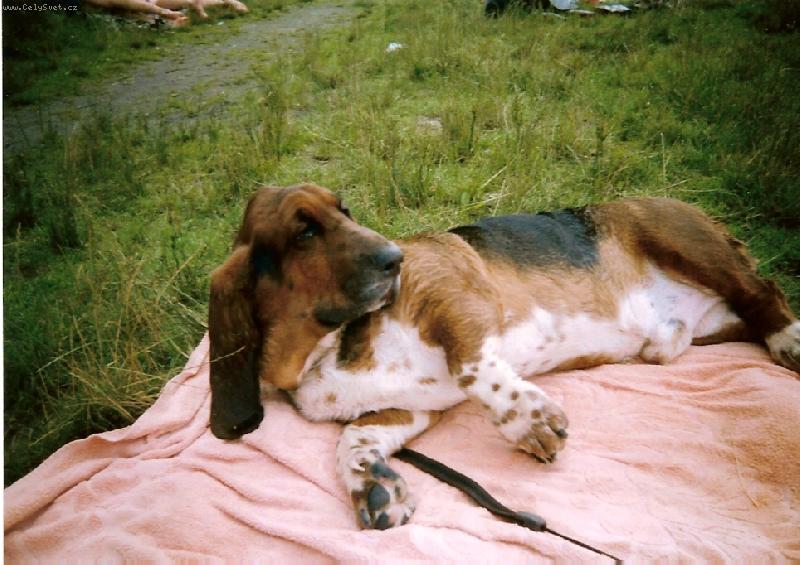 Foto: Spadynek-V l�t� na pl�i :-)