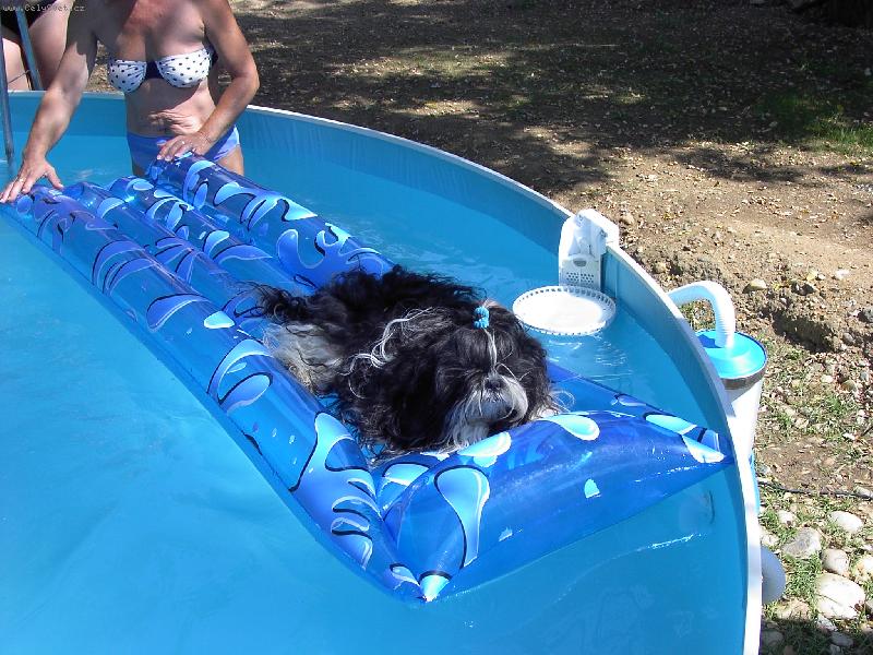 Foto: Tak si užívám na chatě já!-v bazénku na chatě