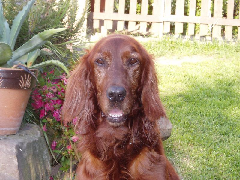 Foto: na�e Arni�ka-moc hodn�