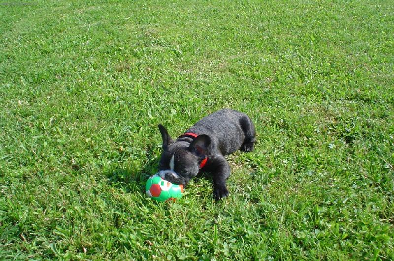 Foto: Gabi-zelen� je tr�va, fotbal to je hra...