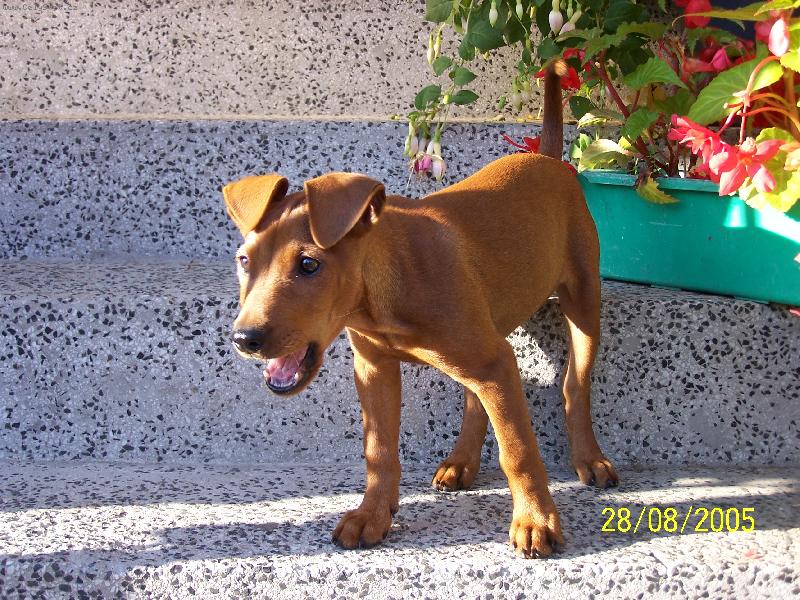 Foto: cindi a kytky-z�v��������m