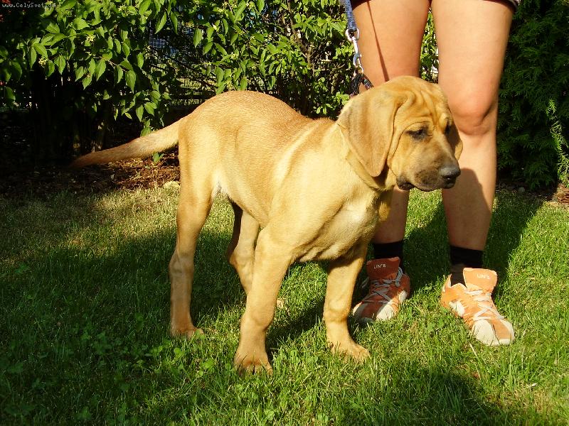 Foto: Cynthia Abides-Cynthi pozuje ve sv�ch 3.m�s.