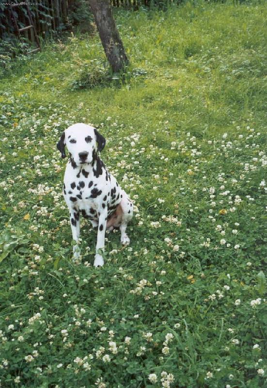 Foto: John-Nerad se fot�m, ale kdy� to mus� b�t.