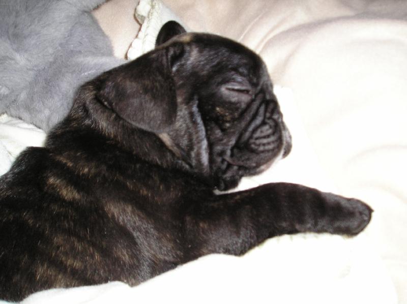 Foto: Na�e �t���tko