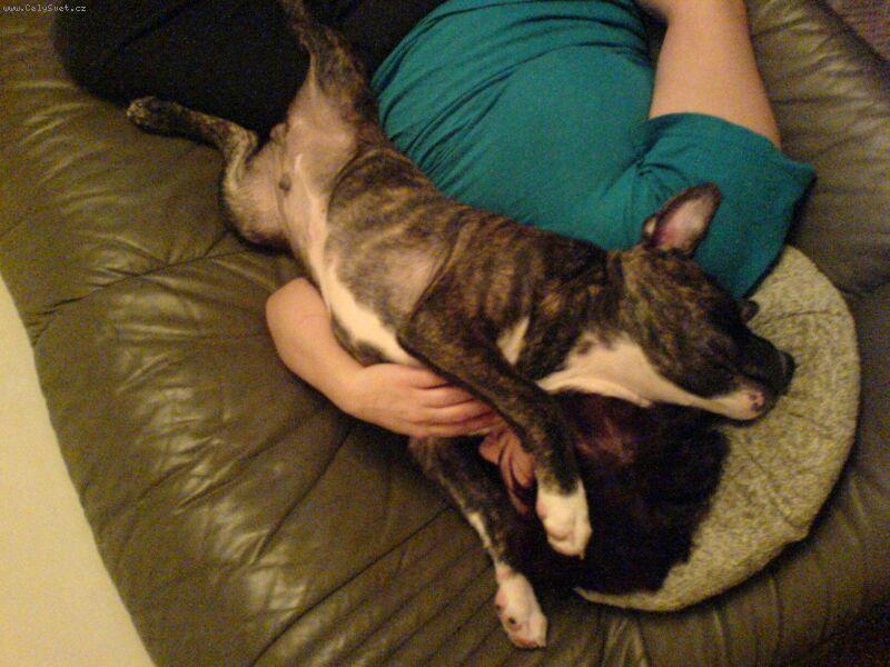 Foto: Brut-nejlep�� odpo�inek