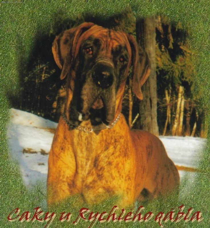 Foto: Caky u Rychl�ho ��bla