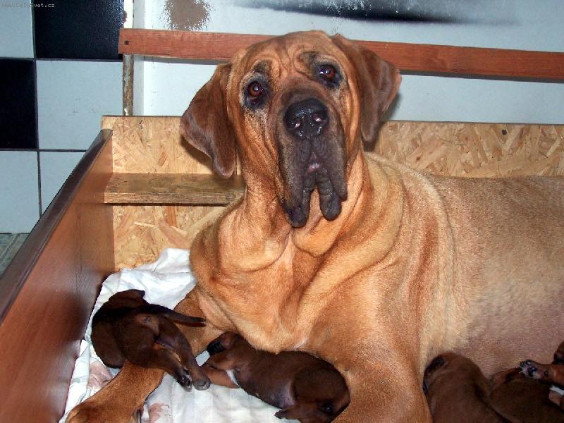 Foto: JULI Twierdza Samuraja-Juli Twierdza Samuraja