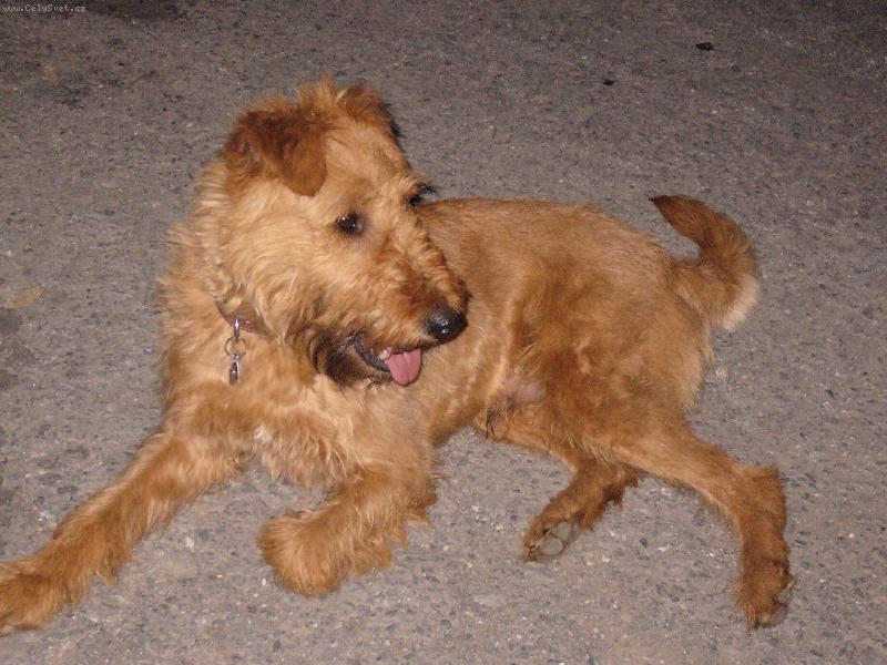 Foto: Harry-odpo�inek