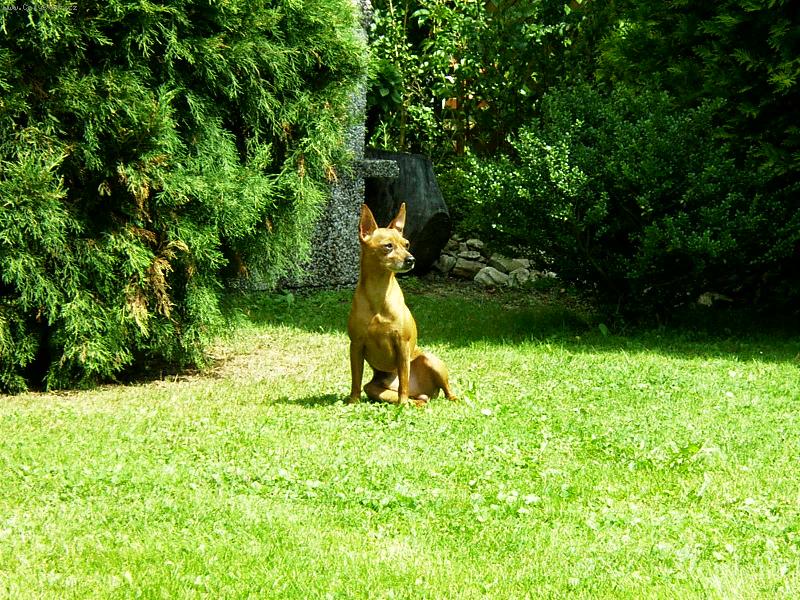 Foto: Baryk-Na zahr�dce