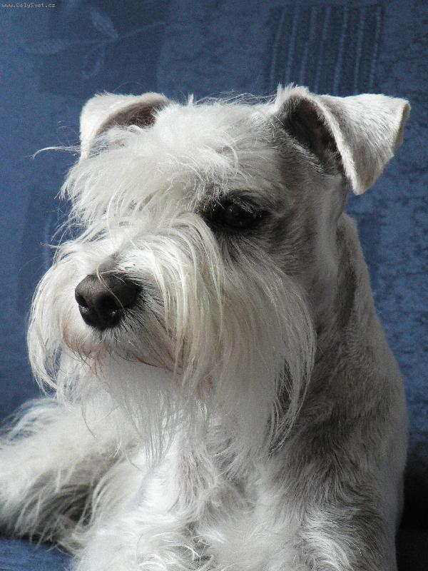 Foto: Cyrus von Ignorant