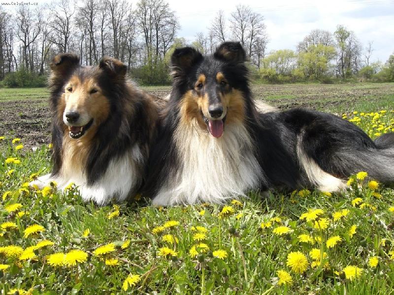 Foto: �eltie-2 �eltie