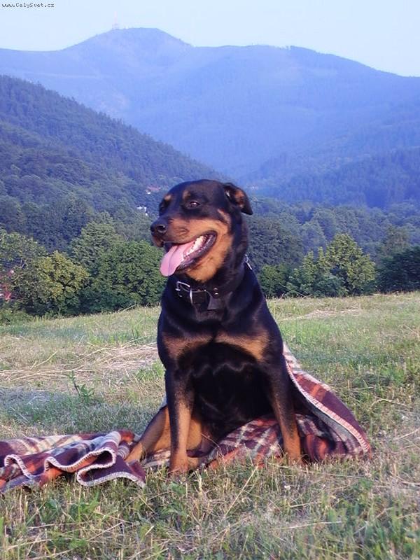 Foto: Verra-Mil��ek