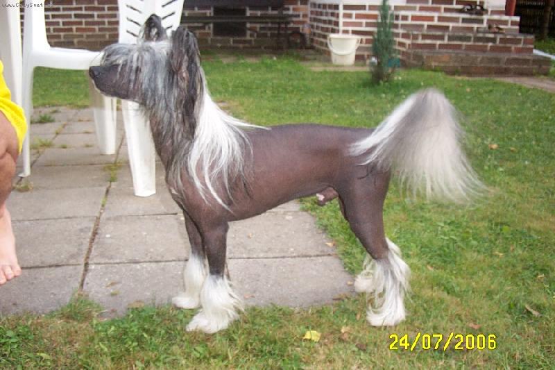 Foto: Ice-N� mazl�k Ice