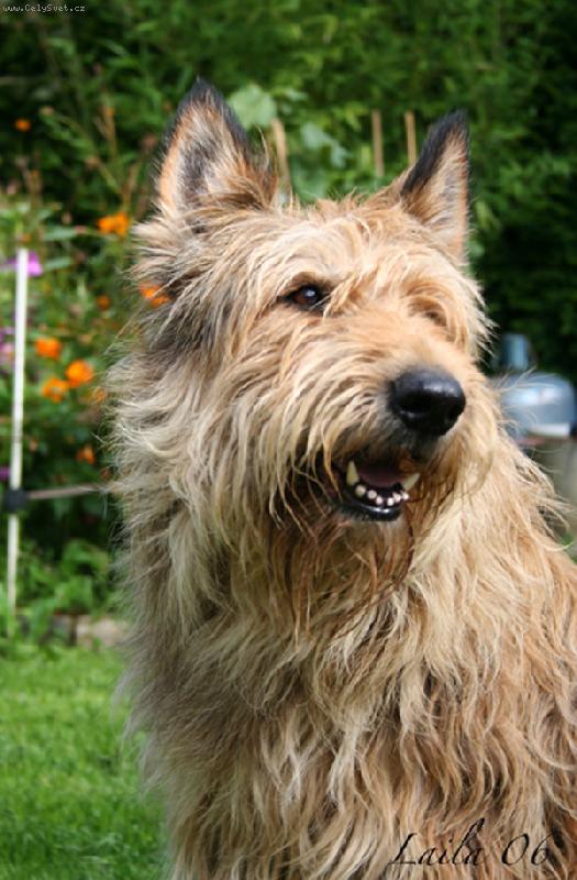 Foto: Portos de Stephieci-otec B\'jolie