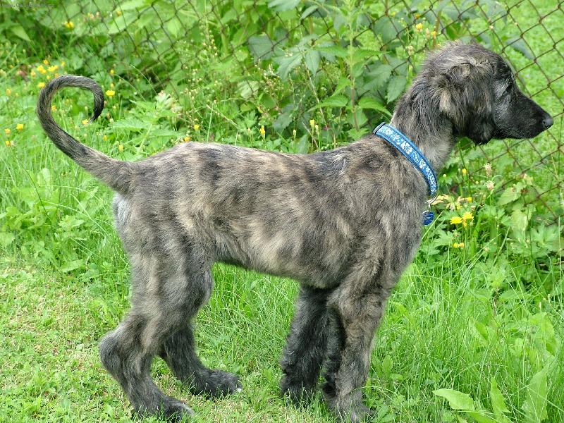 Foto: Sa�id-To jsem byl roztomil� ps� miminko, co?:)