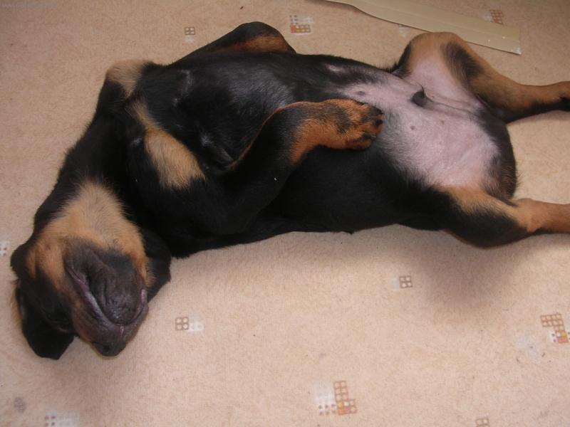 Foto: Max-Max�k spink� !!!