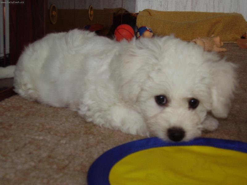 Foto: mlad� sle�na