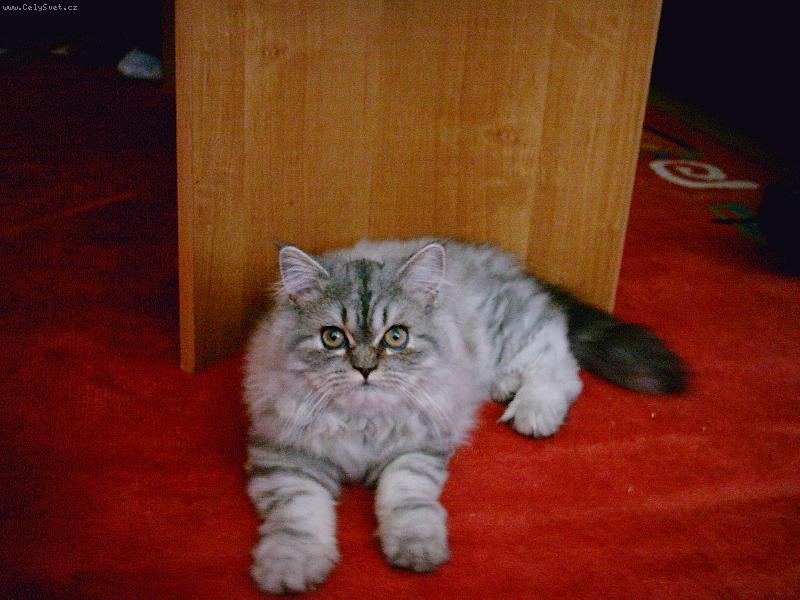 Foto: Laurinka-je mi teprv t�i m�s�ce