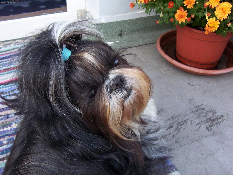 Foto: Kdy� nechci, tak nechci