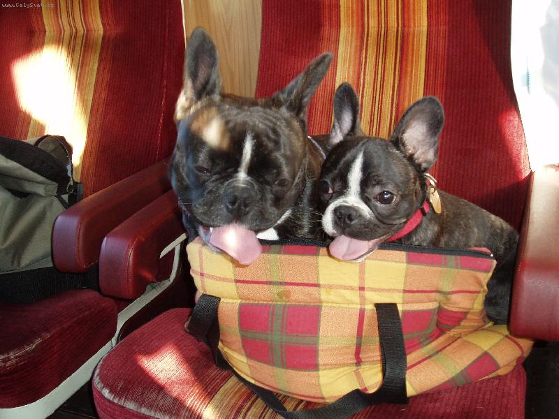 Foto: Gabi&Ed�k-Ve vlaku...