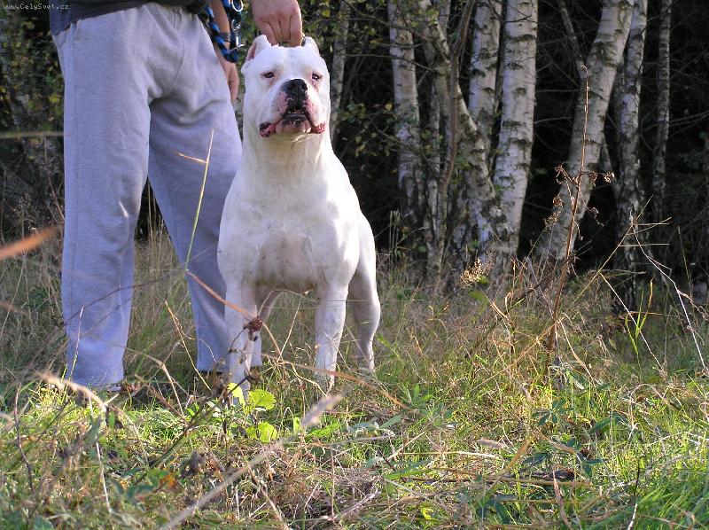 Foto: Ricardo Corazon de Leon de Vianini-CHS Blansky les