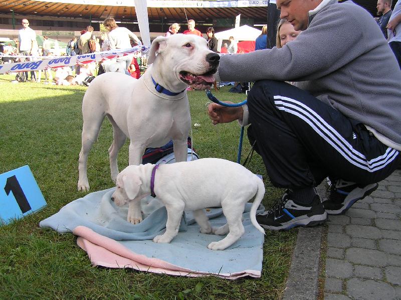 Foto: Jacinta- CHS Blansky les-Jacinta+ \"A\"Bily pregator/Polux