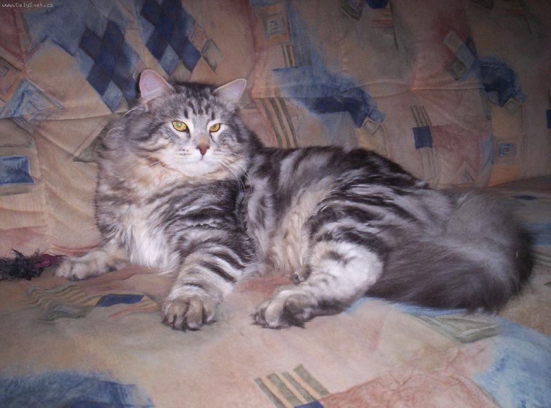 Foto: nen� nad pohodu